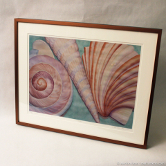 Tiny Shells - framed giclee print by Marilyn Fenn