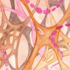 Organics 28 - Painting by Marilyn Fenn