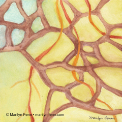 Organics 17 - Painting by Marilyn Fenn