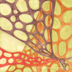 Organics 19 - Painting by Marilyn Fenn