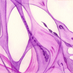 Organics 27 - Painting by Marilyn Fenn