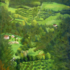 Hillside at Giogalto - Oil painting by Marilyn Fenn