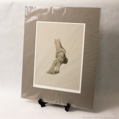 Bones of the Foot - giclee prints by Marilyn Fenn-002