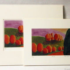 Day - giclée prints by Marilyn Fenn