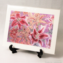 Stargazer and Tiger Lilies - giclee prints by Marilyn Fenn