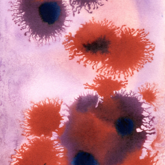 "Fraccidental Painting 05" - Mixed media painting by Marilyn Fenn